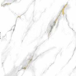 Metallised Gold Blanco